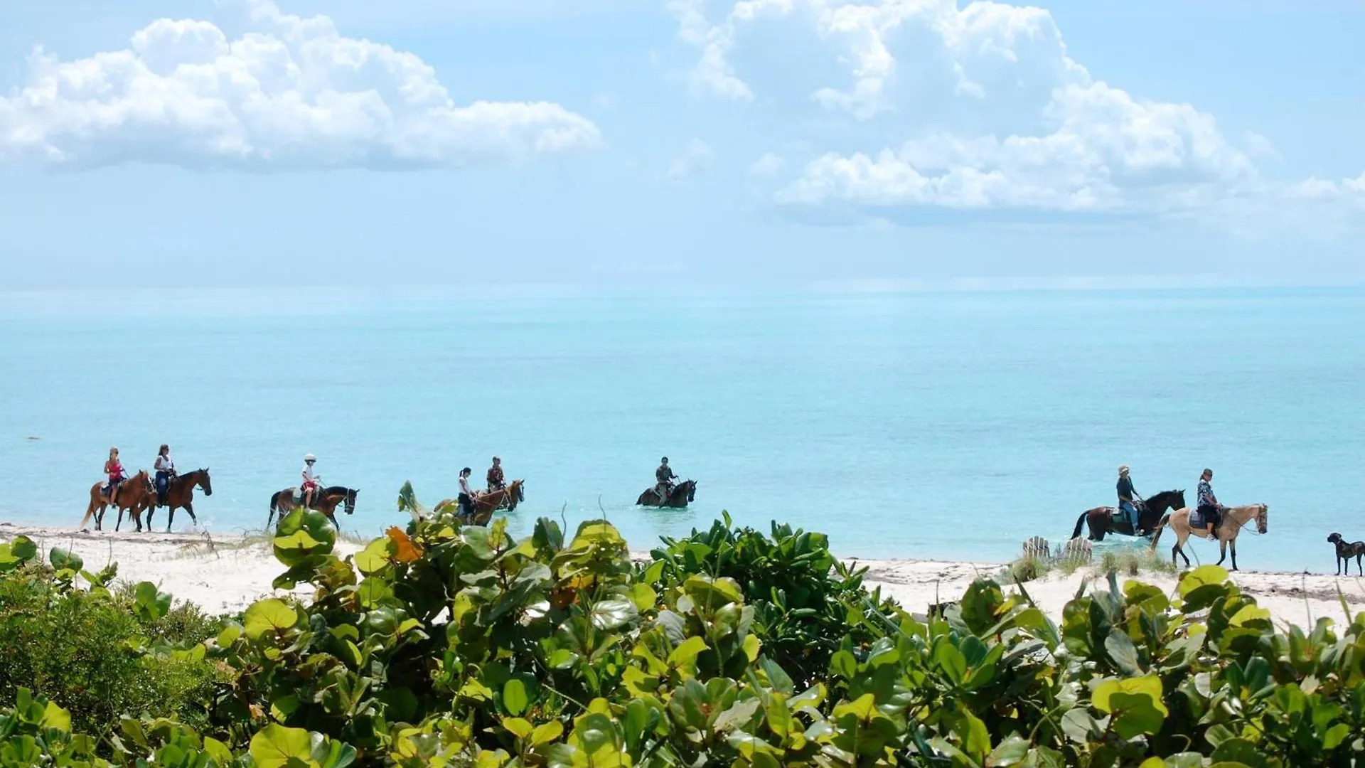 Esencia Premiere Plus Long Bay Villa