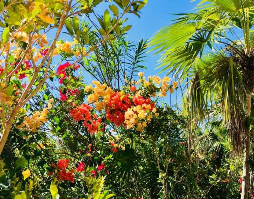 Esencia Premiere Plus Long Bay 0*,  Turks And Caicos Islands