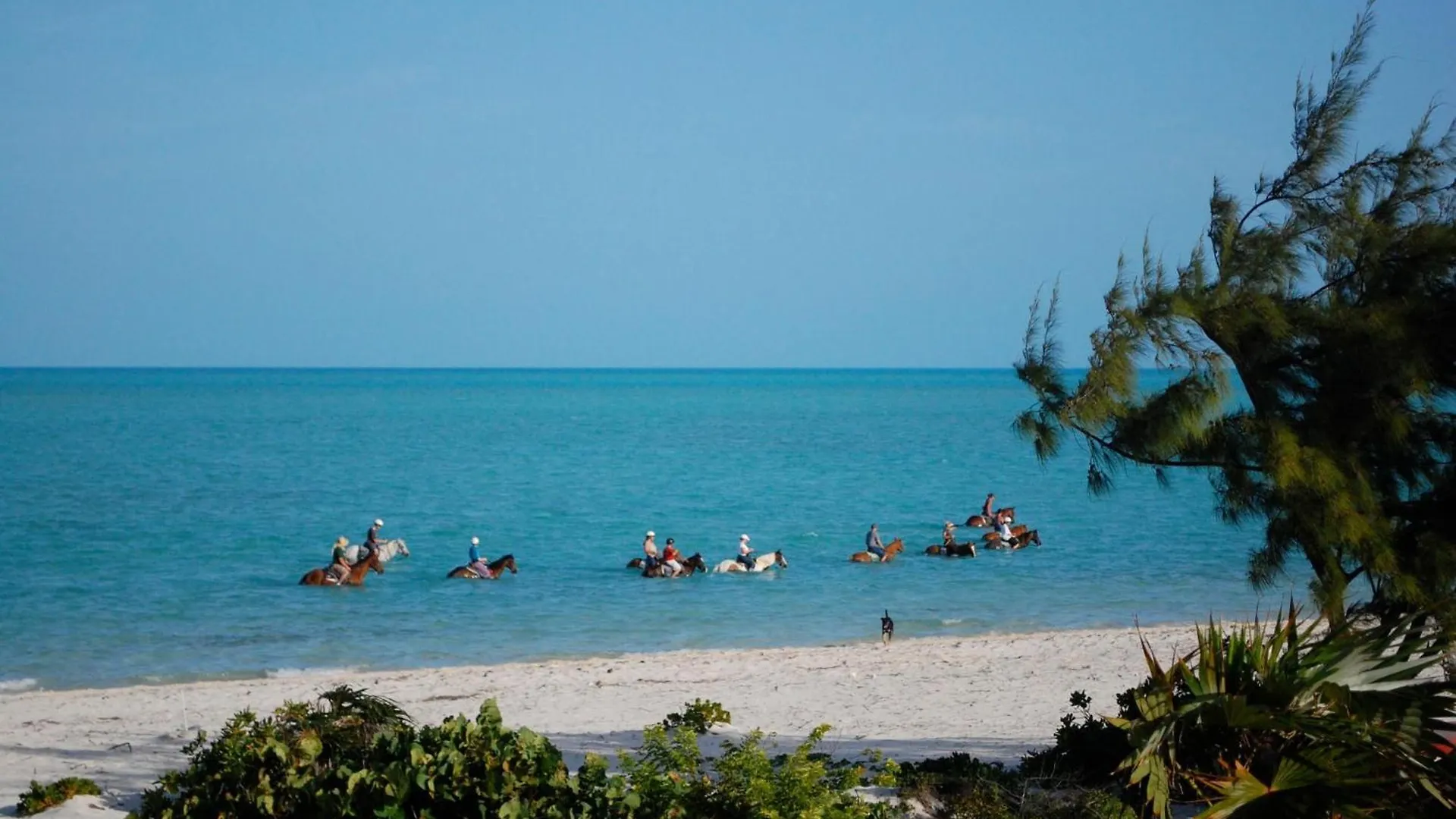 Esencia Premiere Plus Long Bay Islas Turks y Caicos
